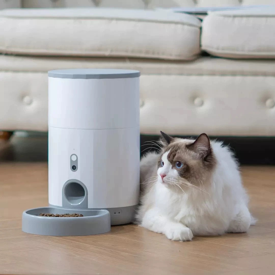 Mini Automatic Pet Feeder for Cats & Dogs