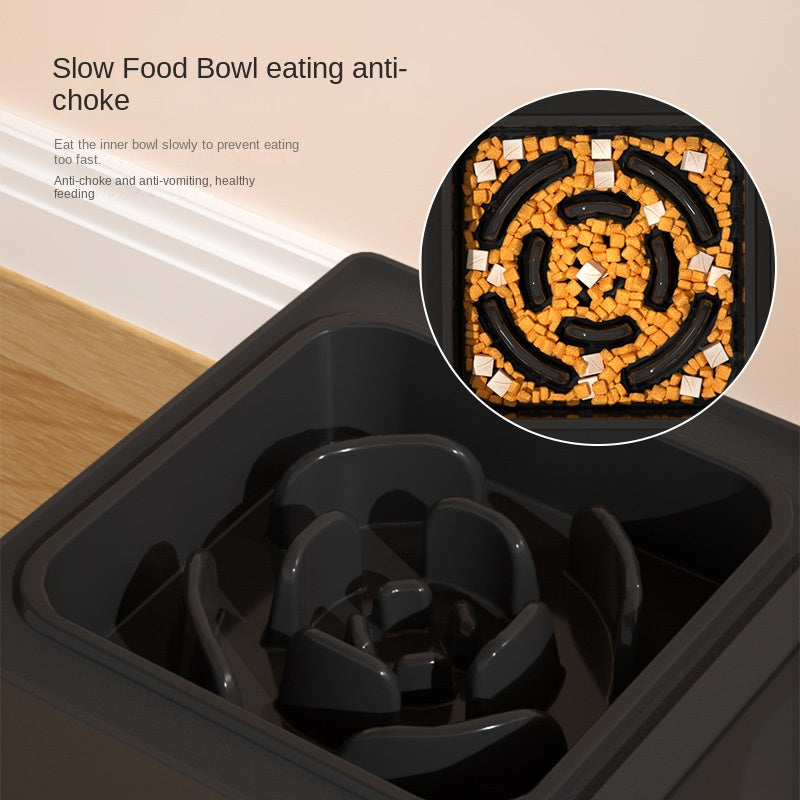 Elevated Double Dog Feeding Bowls