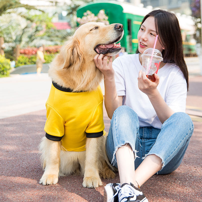 Spring Fleece Sweater for Medium & Large Dogs