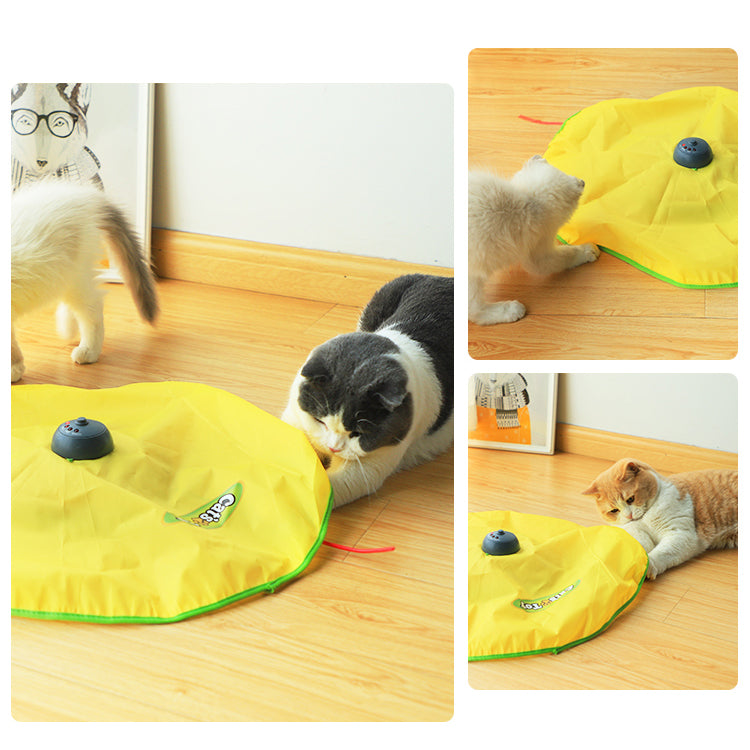 Automatic Rotating Cat Turntable Toy