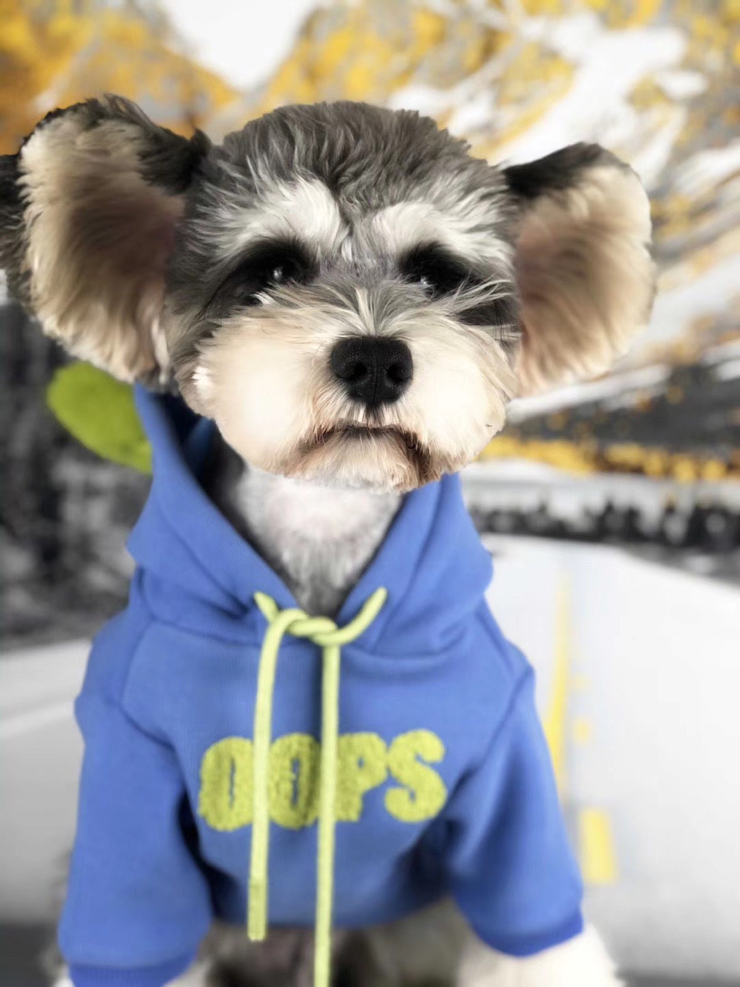 Autumn & Winter Cotton Dog Sweater