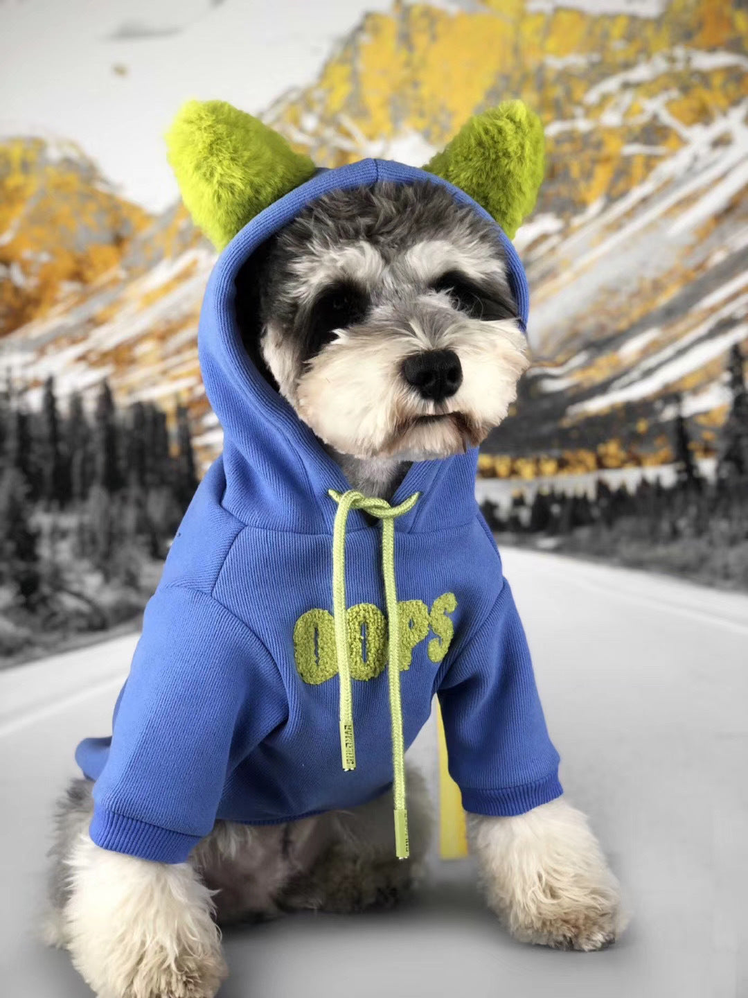 Autumn & Winter Cotton Dog Sweater