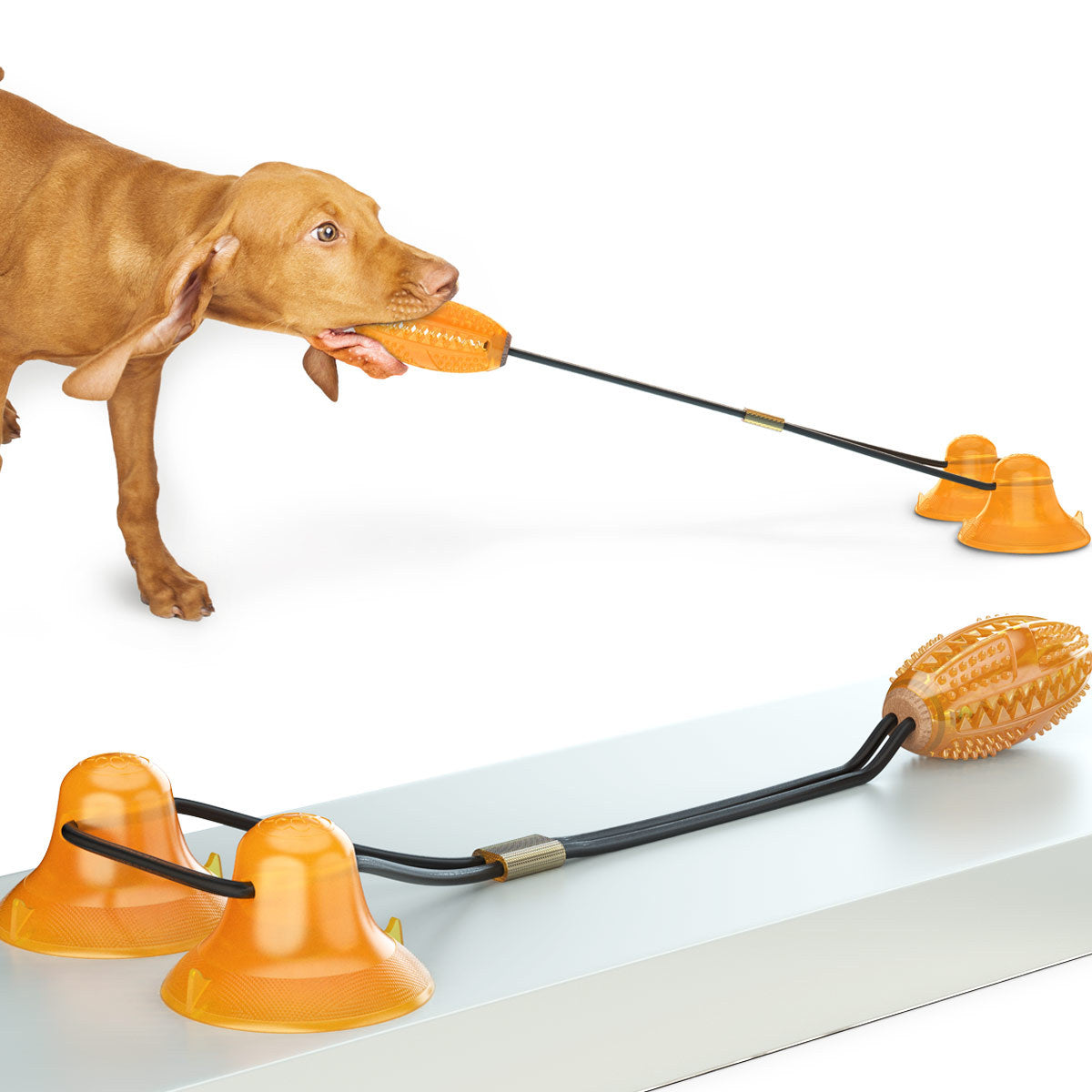 Multifunction Dog Tug & Chew Rope Toy