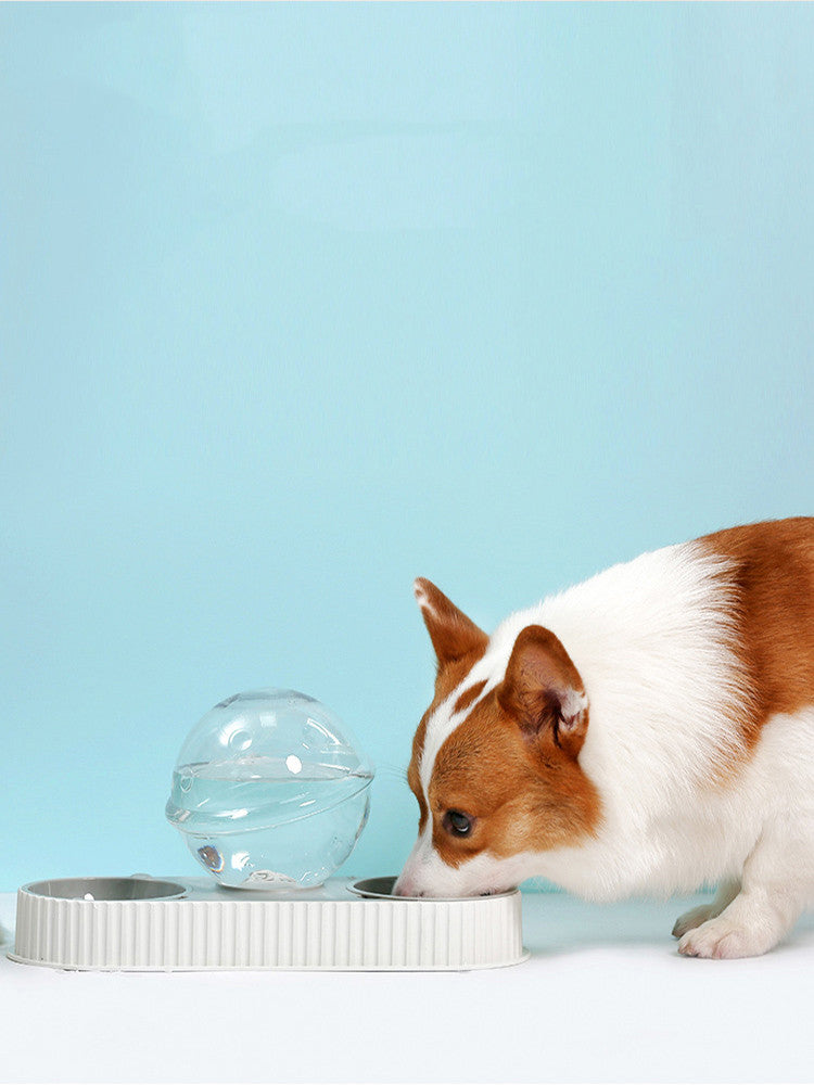 Automatic Pet Feeding & Water Bowl