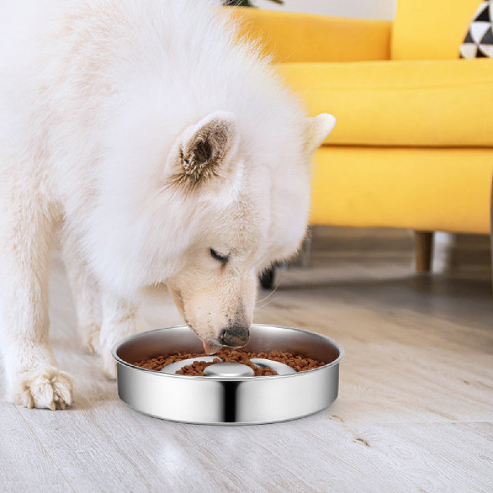 Slow Feeding Stainless Steel Pet Bowl
