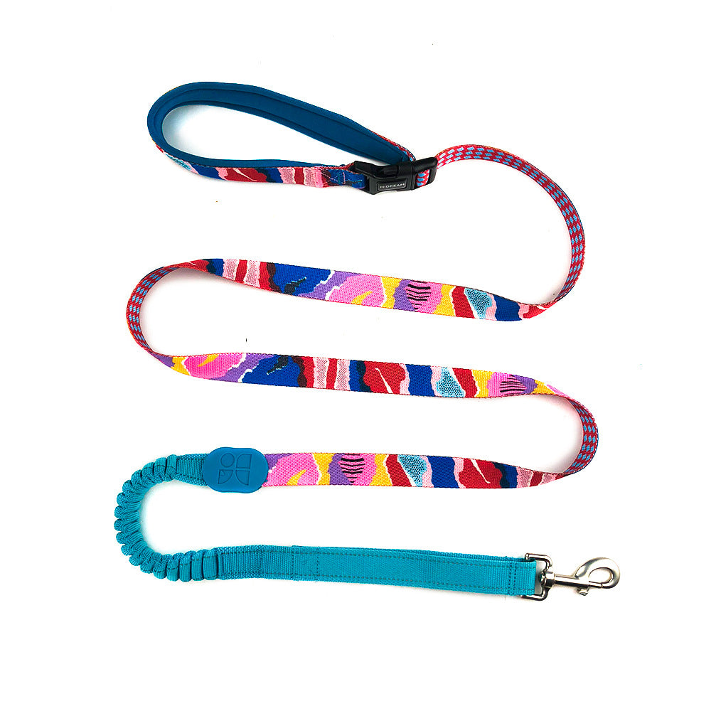 Multifunctional Pet Traction Walking Rope