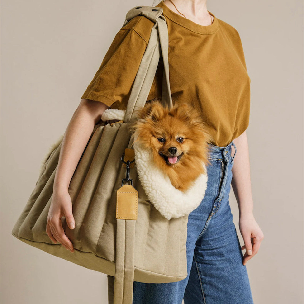 Lightweight Waterproof Pet Carrier Bag