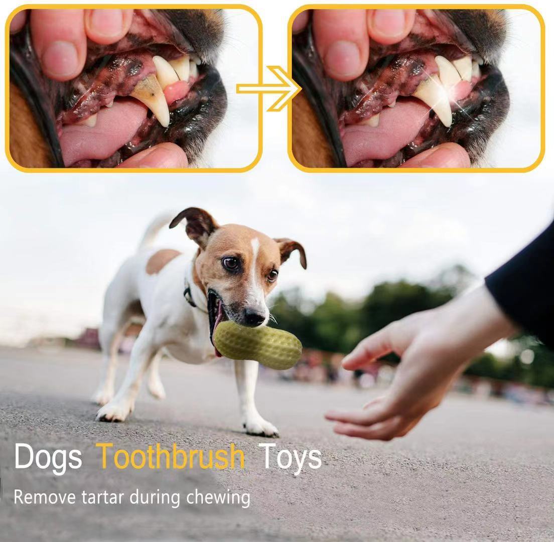 Funny Squeaky Bite-Resistant Dog Toy