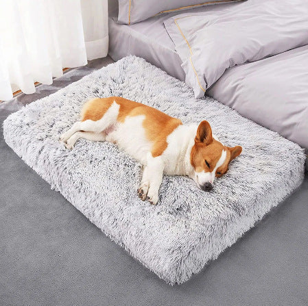 Plush Memory Foam Square Pet Bed