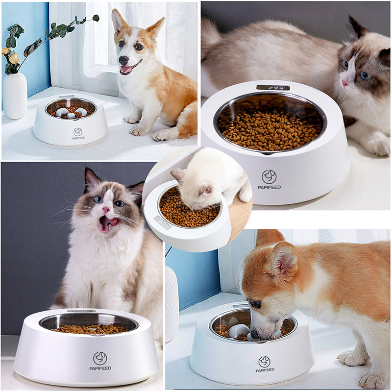 Smart Slow Feeder Bowl for Pets