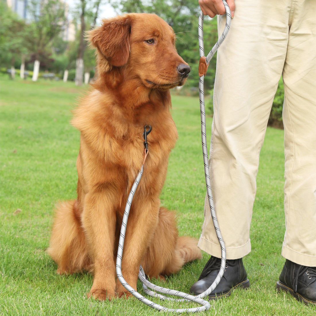 Adjustable Reflective Pet Leash Rope