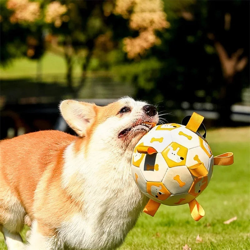 Interactive Soccer Dog Chew Toy Ball
