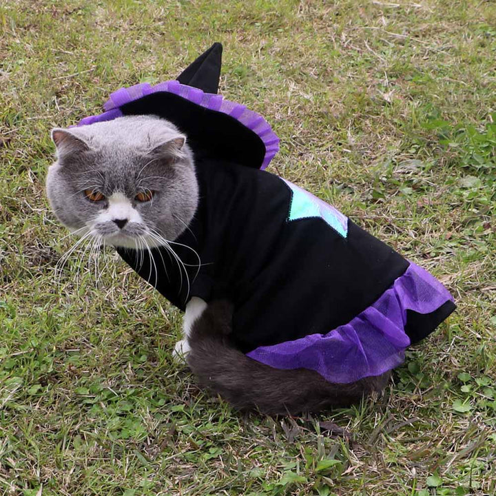 Christmas & Halloween Pet Costume