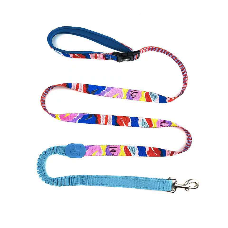 Multifunctional Pet Traction Walking Rope