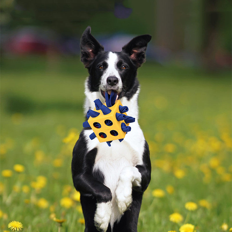 Dog Cube Long-Lasting Chew Toy