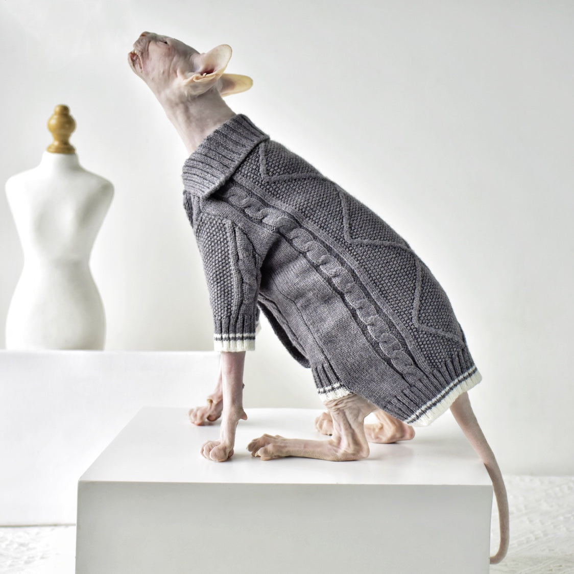 Four Seasons Warm Cat Sweater