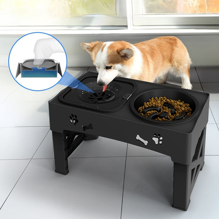 Stainless Steel Double Pet Feeder Bowl