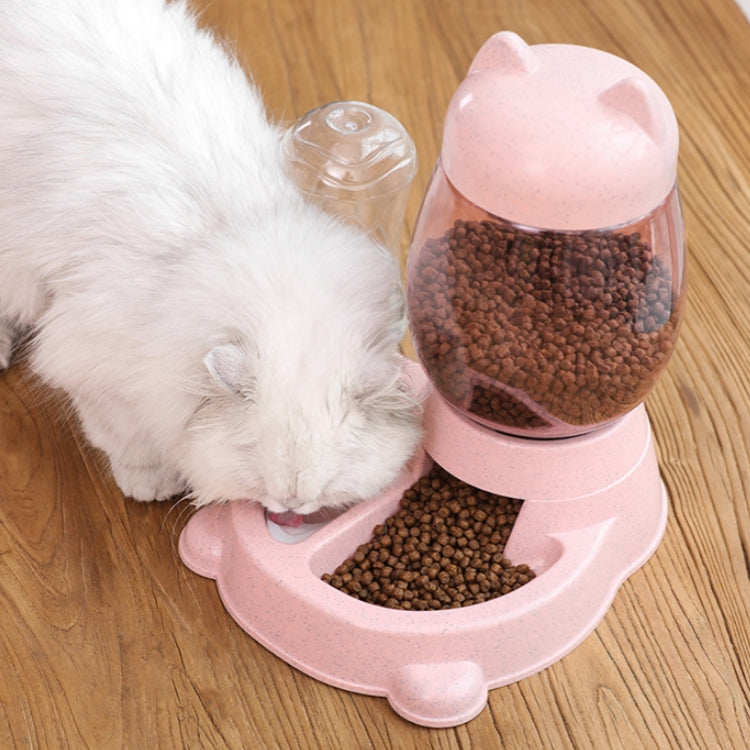 Automatic Pet Food & Water Feeder