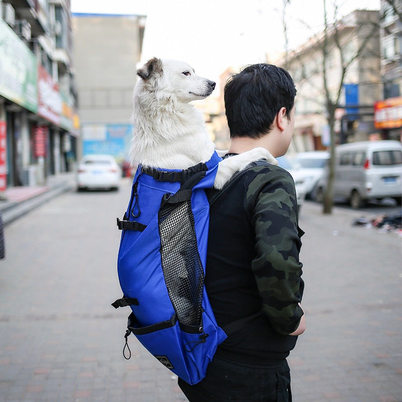 Portable Dog & Cat Travel Backpack Carrier