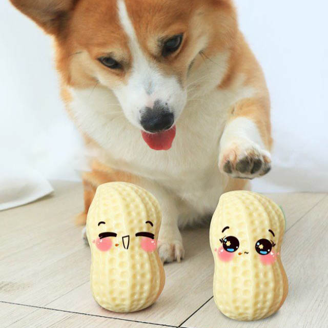 Funny Squeaky Bite-Resistant Dog Toy