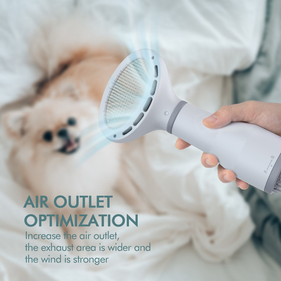Dadypet Pet Dog Grooming Hair Dryer