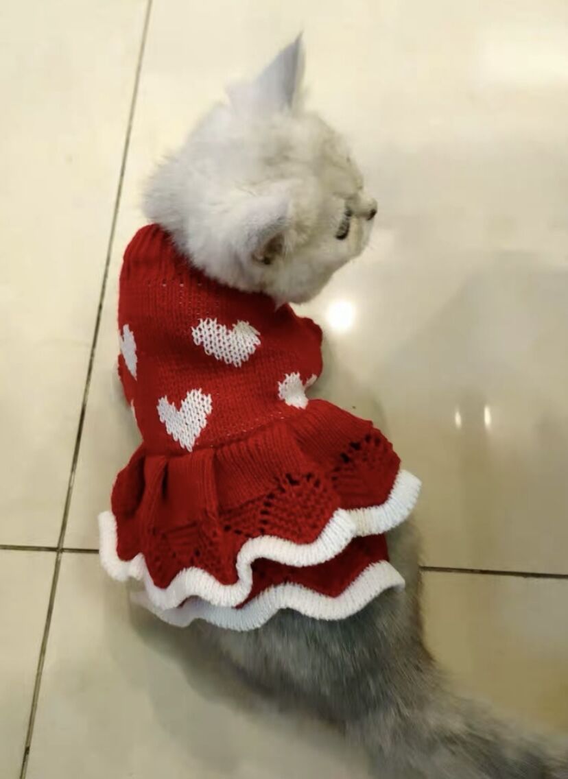Princess Dog Christmas Sweater