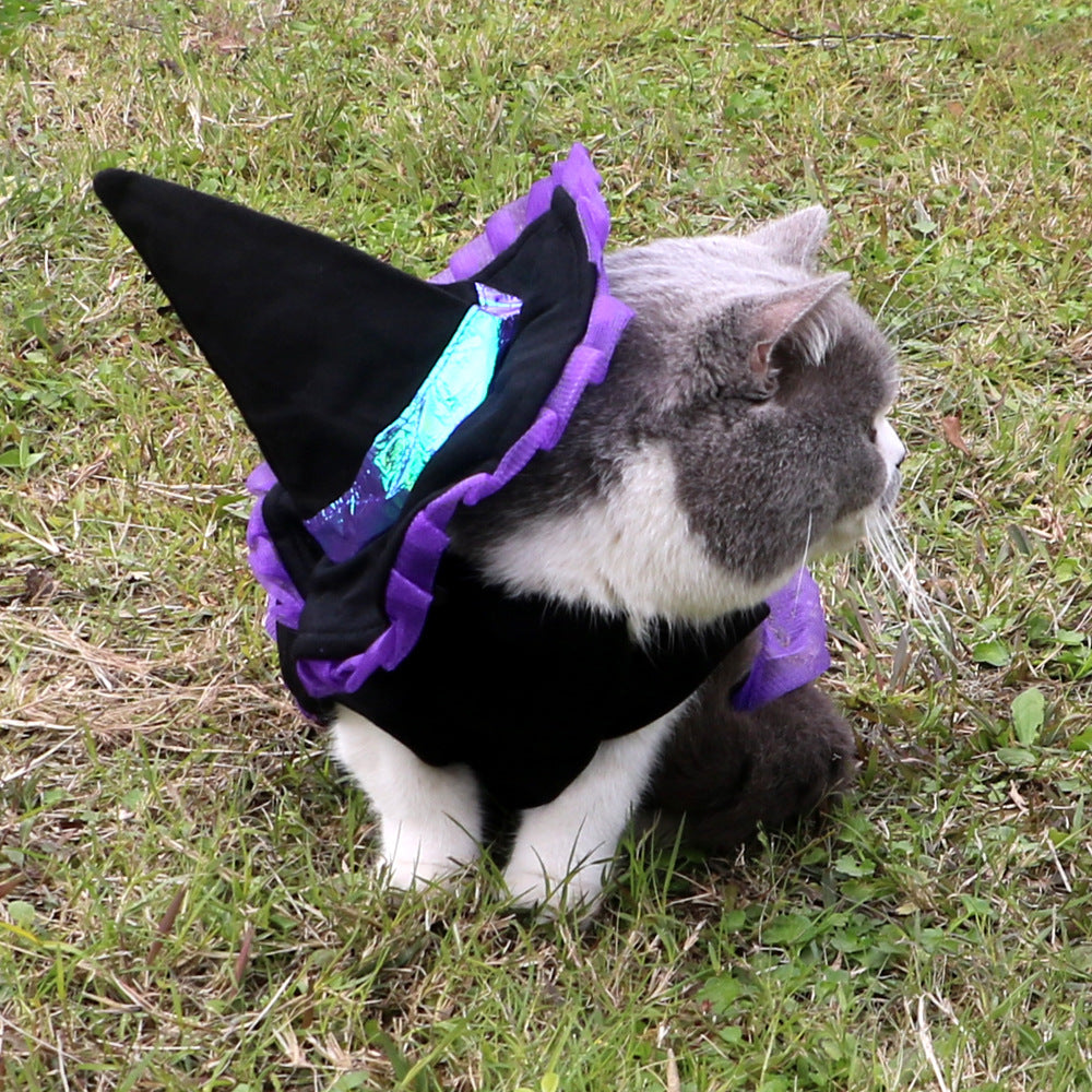 Christmas & Halloween Pet Costume