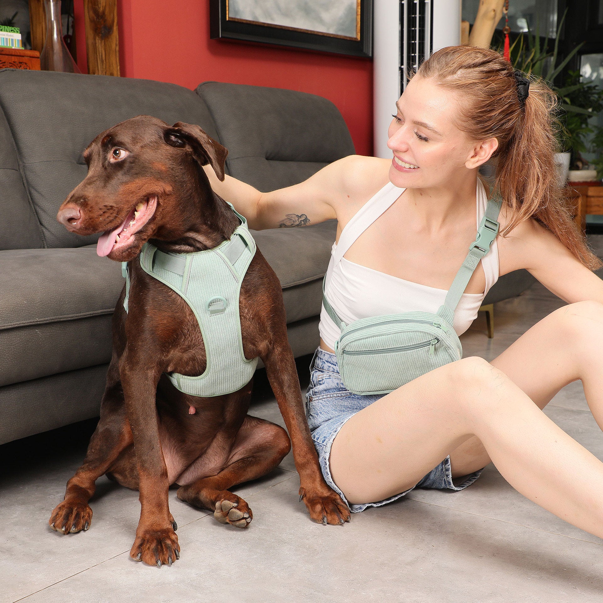 Explosion-Proof Dog Vest with Leash