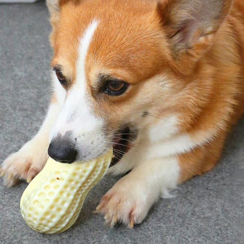 Funny Squeaky Bite-Resistant Dog Toy