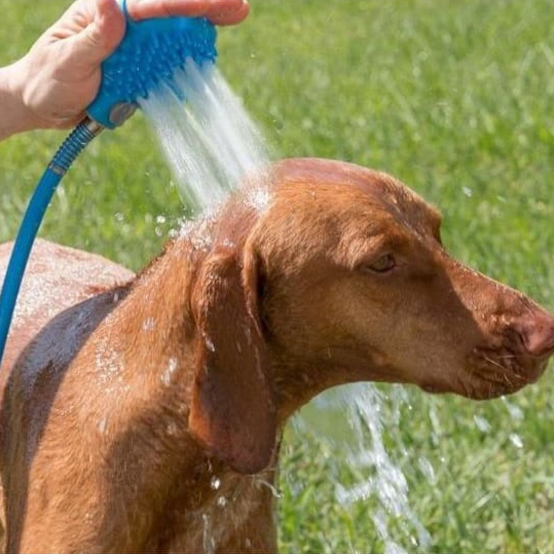 Pet Silicone Bathing Gloves with Handheld Massage Brush