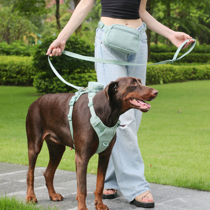Explosion-Proof Dog Vest with Leash