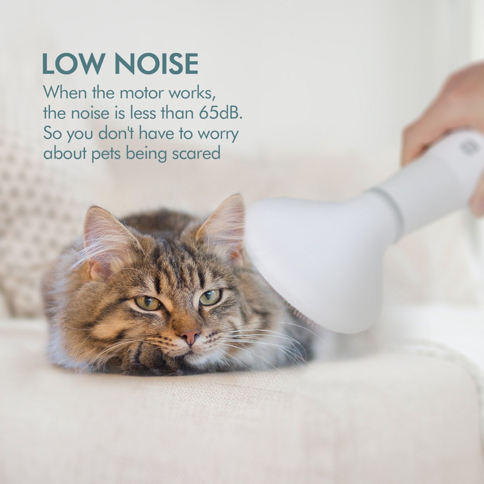 Dadypet Pet Dog Grooming Hair Dryer