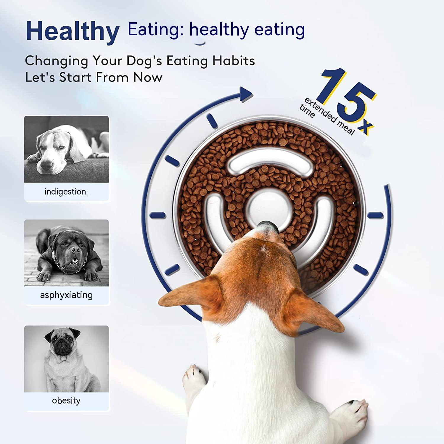 Slow Feeding Stainless Steel Pet Bowl