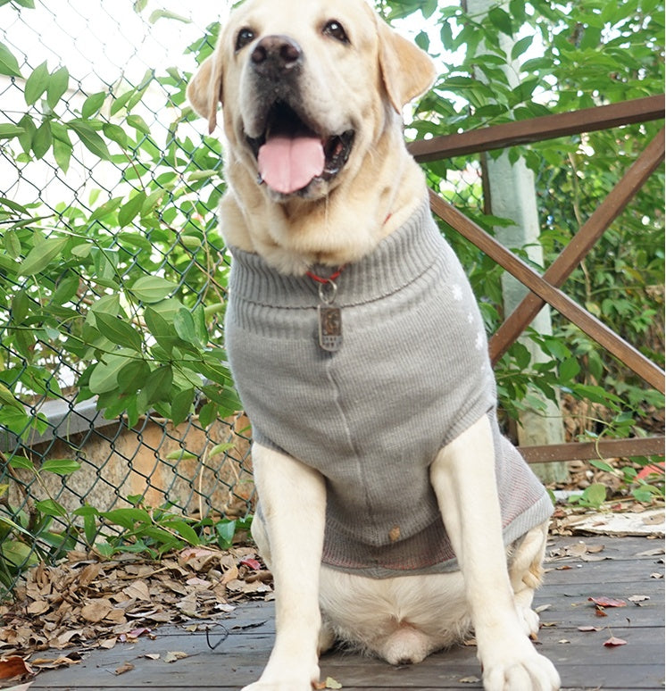 Autumn & Winter Warm Dog Sweater