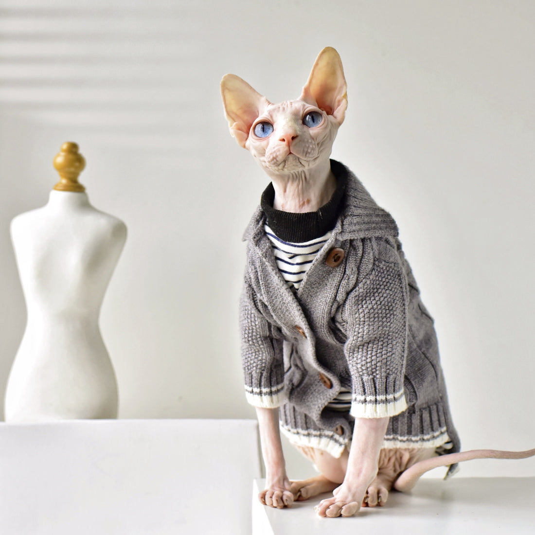 Four Seasons Warm Cat Sweater