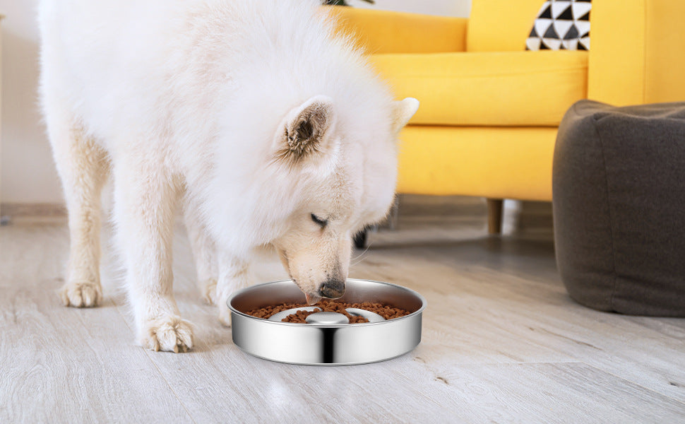 Slow Feeding Stainless Steel Pet Bowl