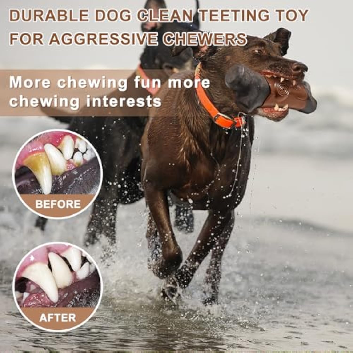 Durable Chew Toy for Large Aggressive Dogs
